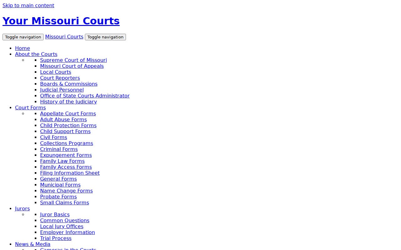 McDonald County court docket Case.net entry from Missouri Courts